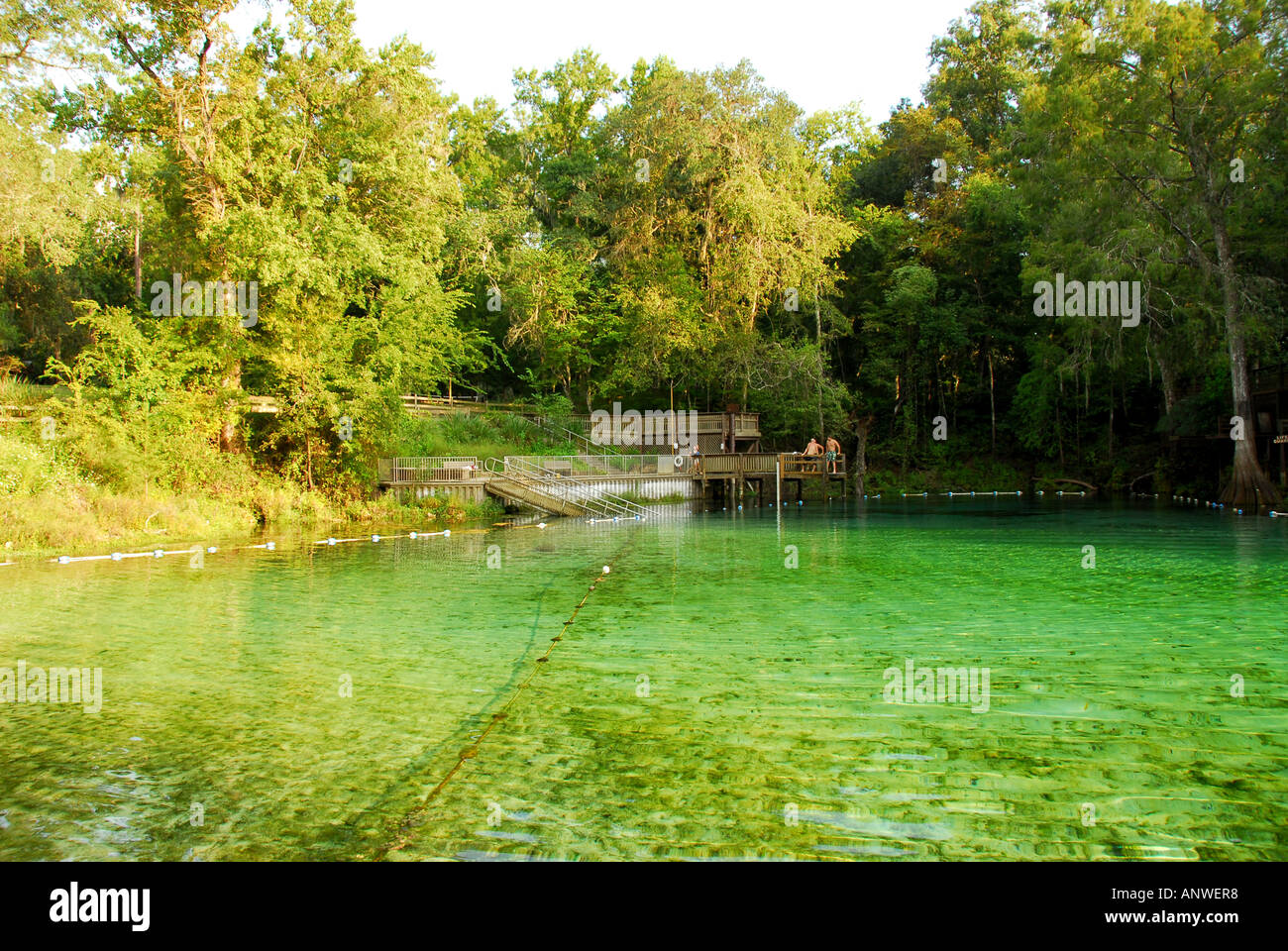 Florida Fanning Springs State Park Frühjahr Kochen natürlichen Schwimmbad-Bereich Stockfoto