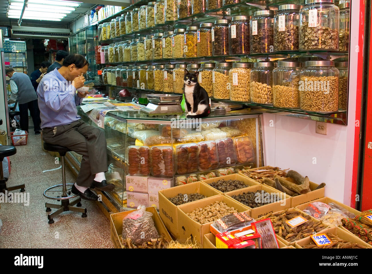 Traditionelle Apotheken und Drogerie in Sheung Wan Hongkong China Stockfoto