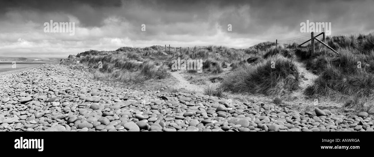 Sanddünen in Northam Burrows auf dem South West Coast Path in der Nähe von Westward Ho! in Devon, England. Stockfoto