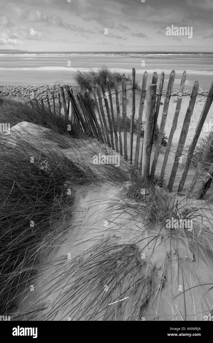 Sanddünen in Northam Burrows auf dem South West Coast Path in der Nähe von Westward Ho! in Devon, England. Stockfoto