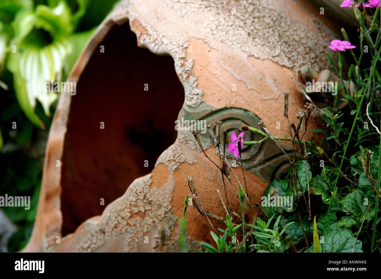 künstliche nordmanntannen Künstlicher Weihnachtsbaum main image 1