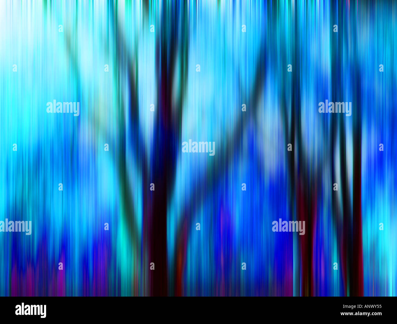blaue abstrakte Bäume im Wald Seenplatte England uk verschwommen Bewegung abstrakte Wirkung Stockfoto