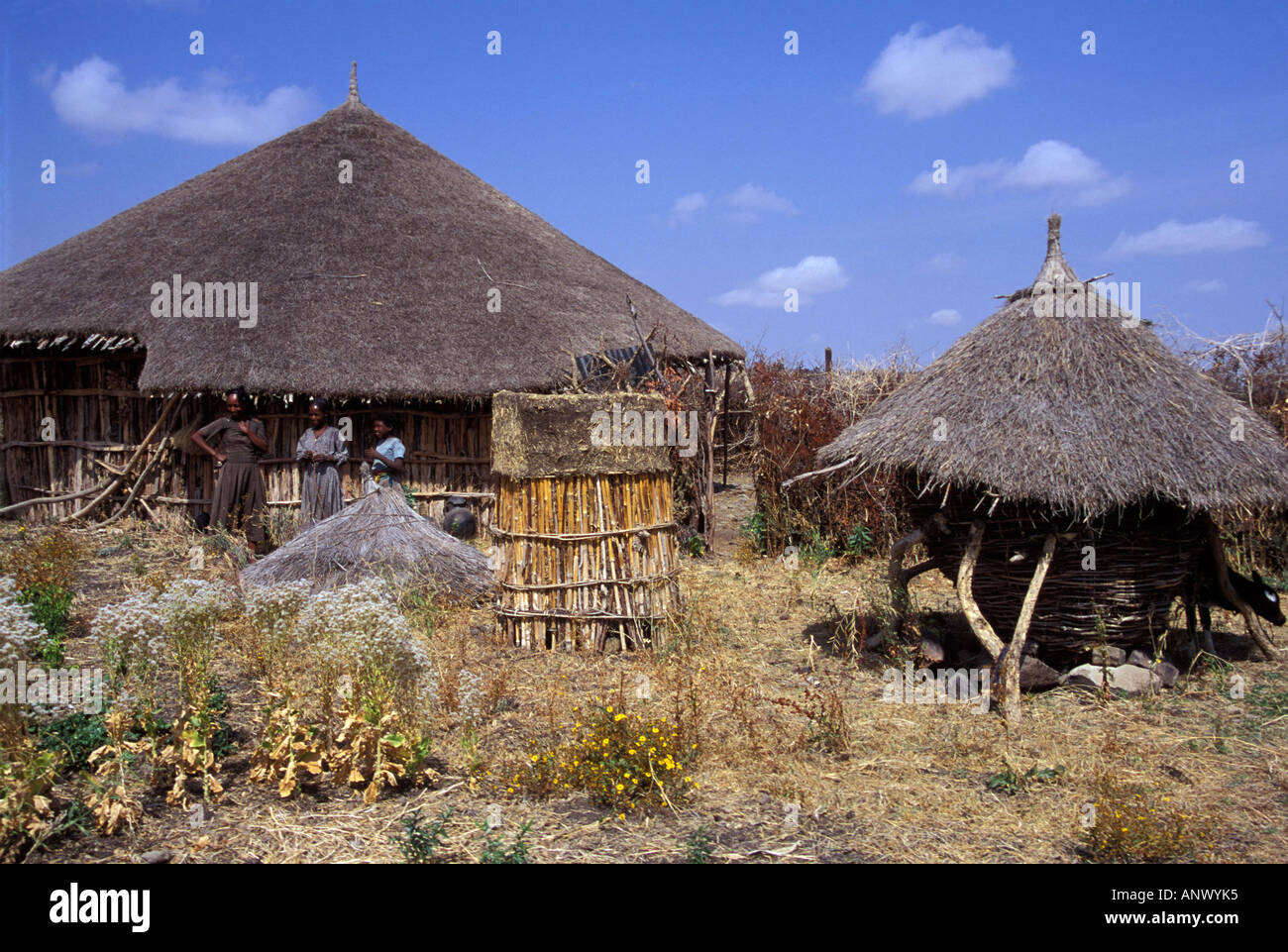 Afrika, Äthiopien, drei Frauen reden in einem Oromo-Dorf Stockfoto