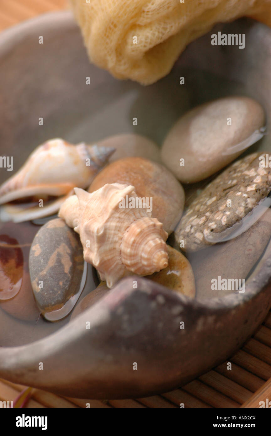 Natürliche Badewanne aus Stein mit Muscheln Stockfoto