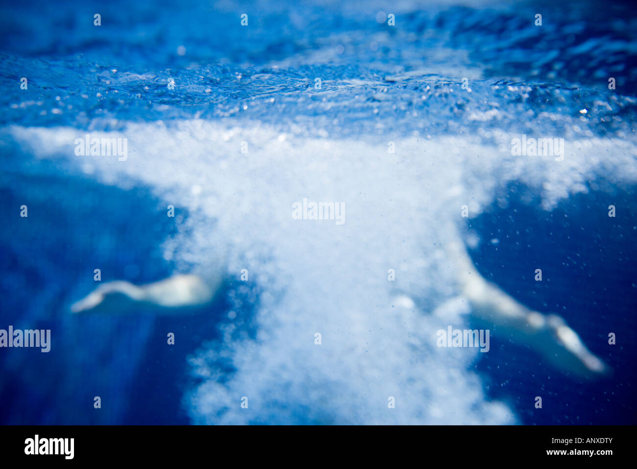 Tauchen in Wasser - unter Wasser geschossen Stockfoto