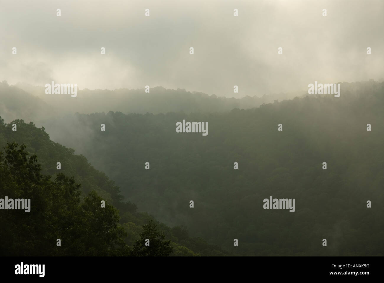 Niedrige Wolke in West Virginia Stockfoto