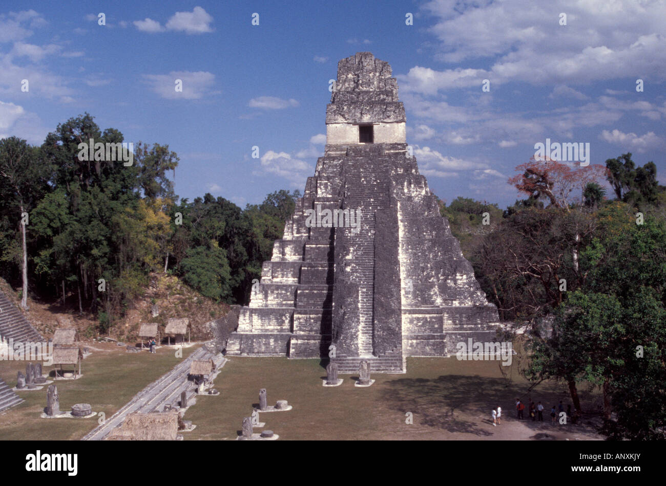 Tempel 1 oder Tempel der Großen Jaguar, Tikal, Guatemala Stockfoto