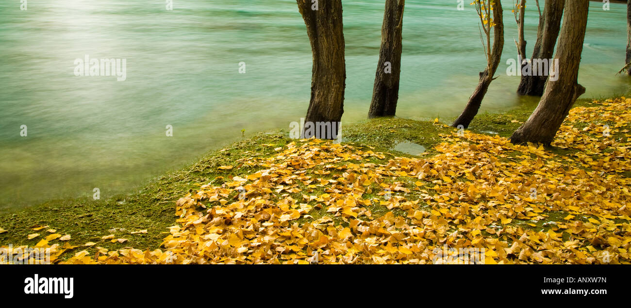 Eine herbstliche Szene in Central Otago, Neuseeland Stockfoto