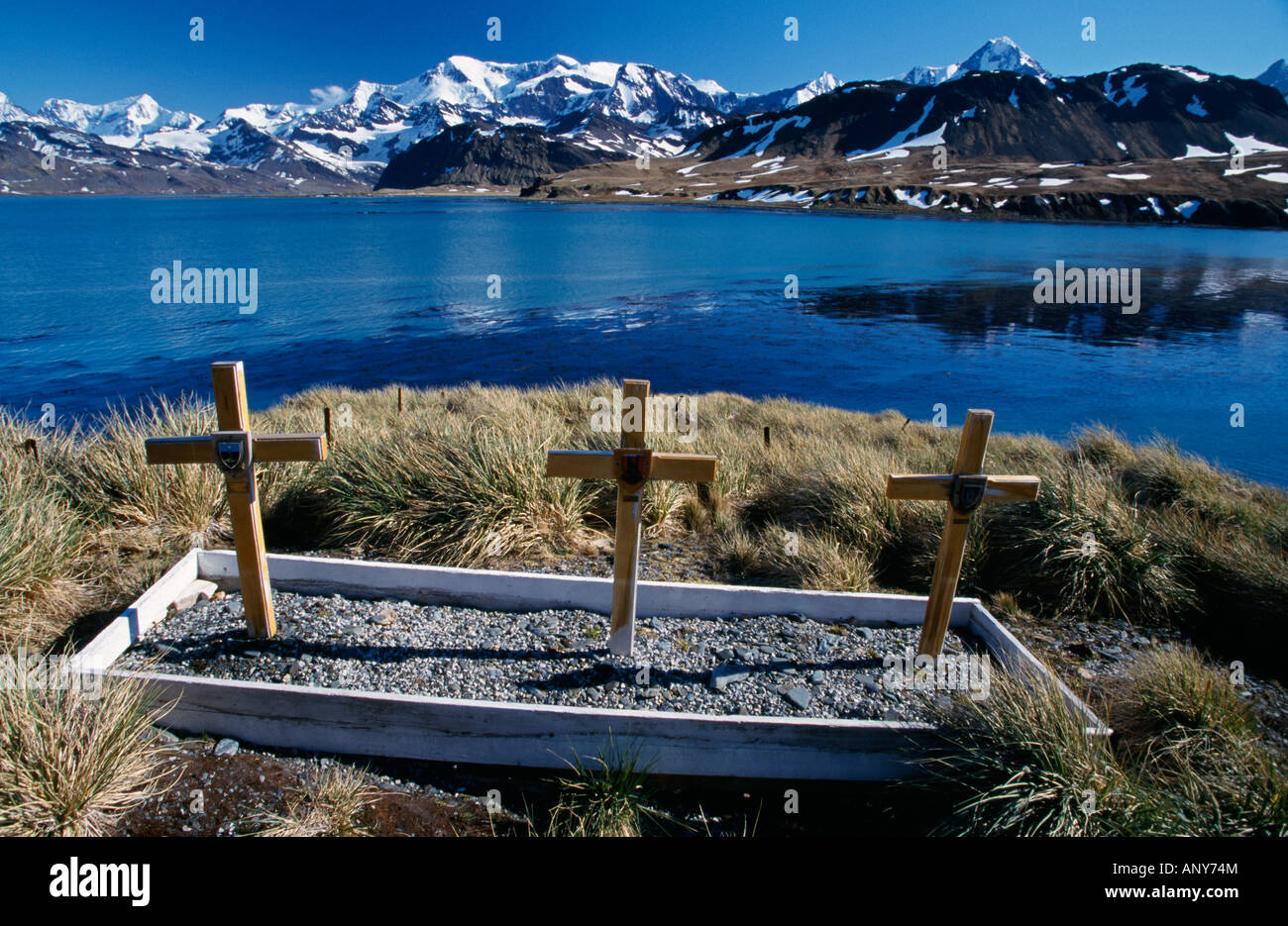 Süd-Georgien, Cumberland East Bay, Hoffnung Punkt. Memorial Kreuze her britische Soldaten, die auf Süd-Georgien. Stockfoto