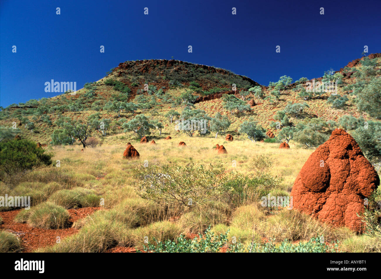 Australien, Western Australia, Pilbara, Karijini-Nationalpark, Mount Bruce und Termite mounds Stockfoto