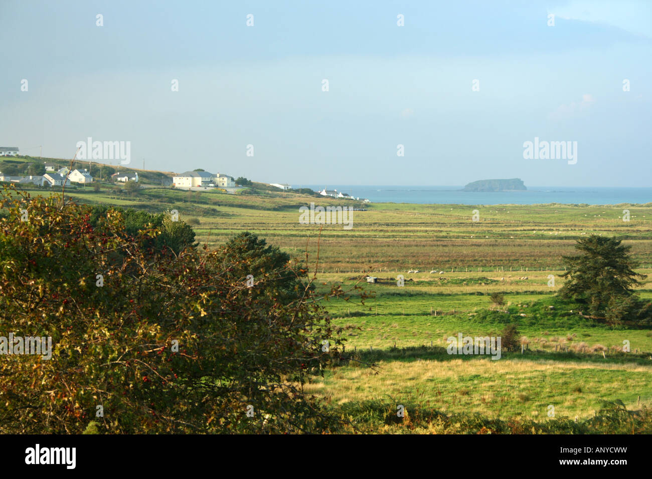 Über die Felder nach Glashedy Island und den Atlantik, Donegal, von außen Ballyliffen, über Isle of Doagh, Irland Stockfoto