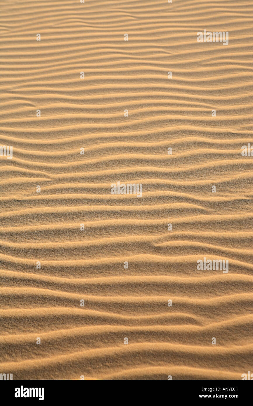Wellen der Sanddüne von Cumbuco in Ceara Brasilien Stockfoto
