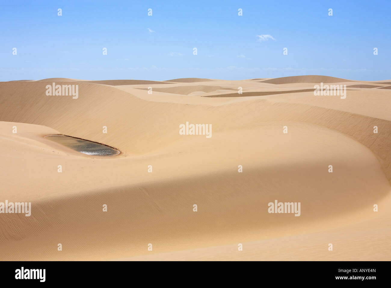 Wüste Sanddünen des Nationalparks Lencois Maranheses Stockfoto