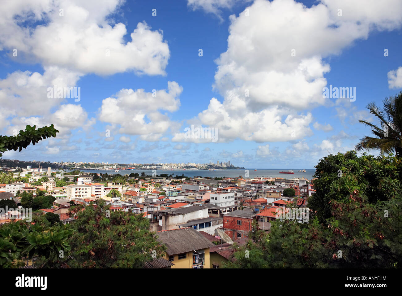 Luftbild von der schönen Stadt Salvador in Bahia Brasilien Stockfoto