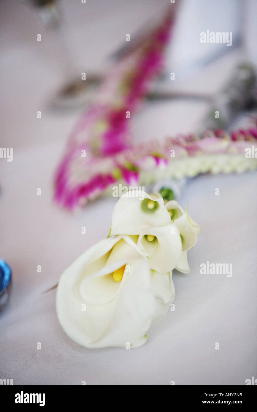 Eine kleine Gruppe von Calla Lilien legen auf einen Tisch. Stockfoto