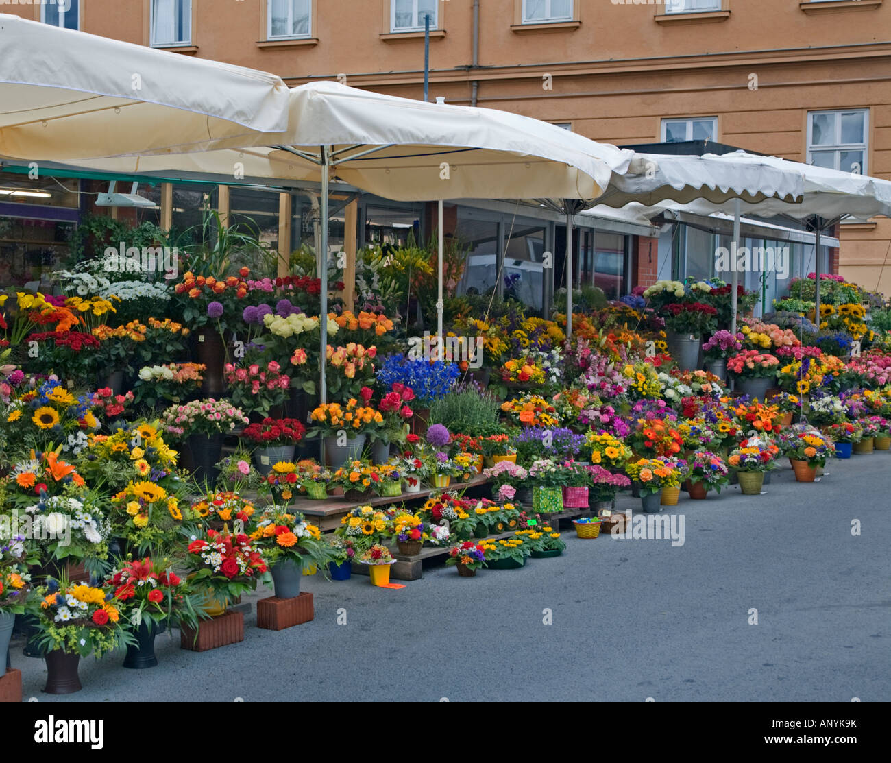 Stadtmarkt augsburg blumen Fotos und Bildmaterial in hoher Auflösung
