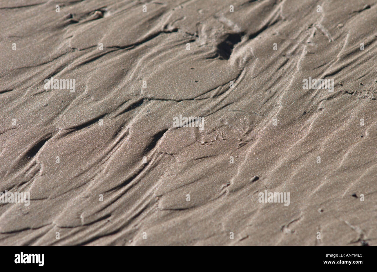 Wasserflecken auf nassen sand Stockfoto