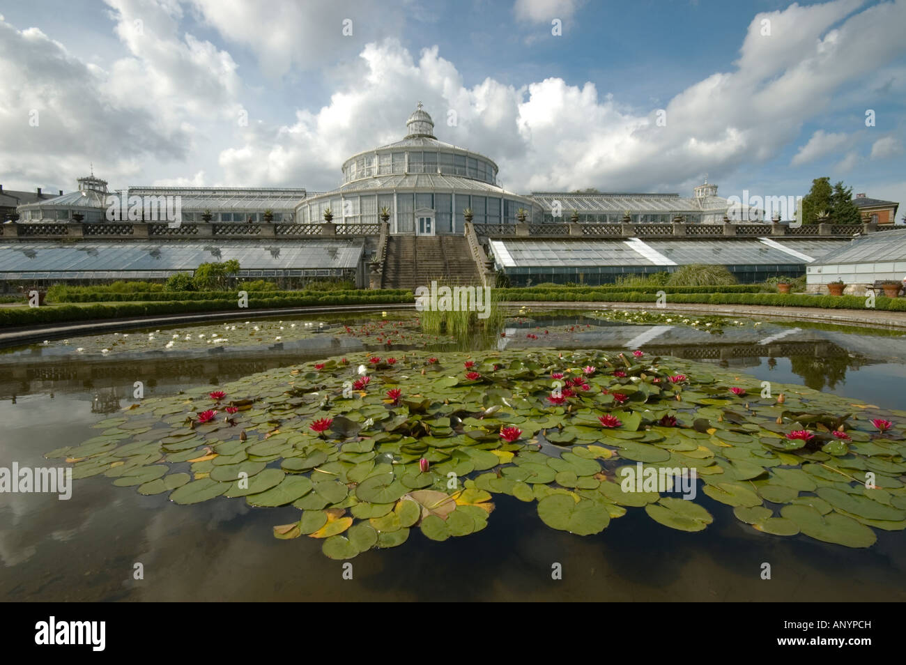 Das Palmenhaus und Lilie Teich im Botanischen Garten von Kopenhagen