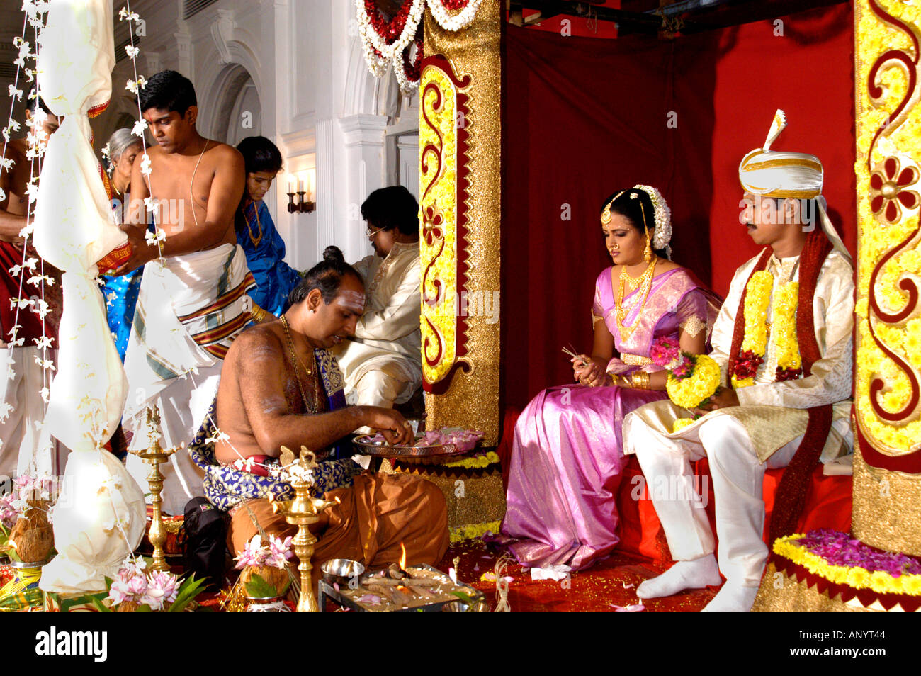 Traditionelle hinduistische Hochzeitszeremonie auf einer kunstvollen Bühne mit einem Priester, der heilige Rituale für die Braut und den Bräutigam Sri Lanka Ceylon vorführt. Stockfoto