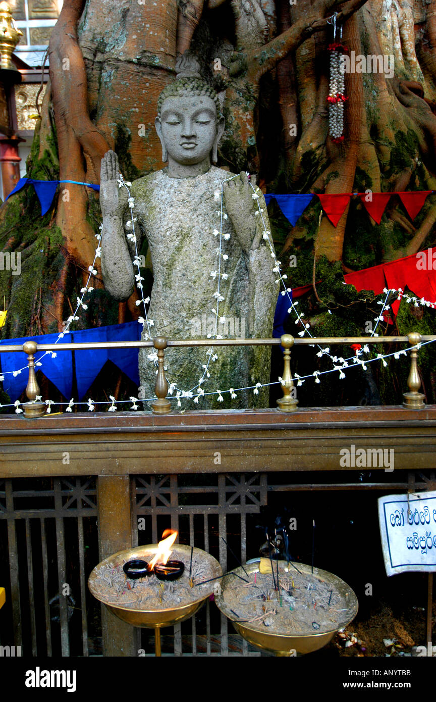 Sri Lanka Buddhismus Buddha Gangaramaya Tempel Kult Stockfoto