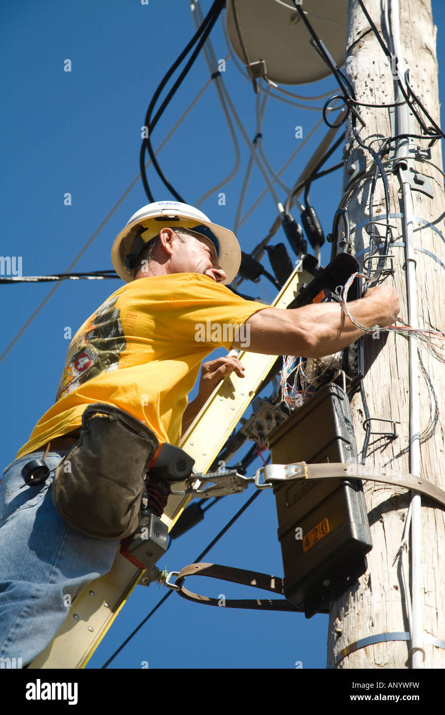 ILLINOIS Long Grove männlichen Techniker Reparatur Kommunikation Telefonleitungen auf Leiter stehend Stockfoto