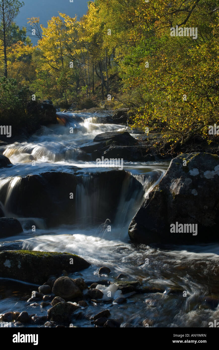 Fluss Cannich Stockfoto