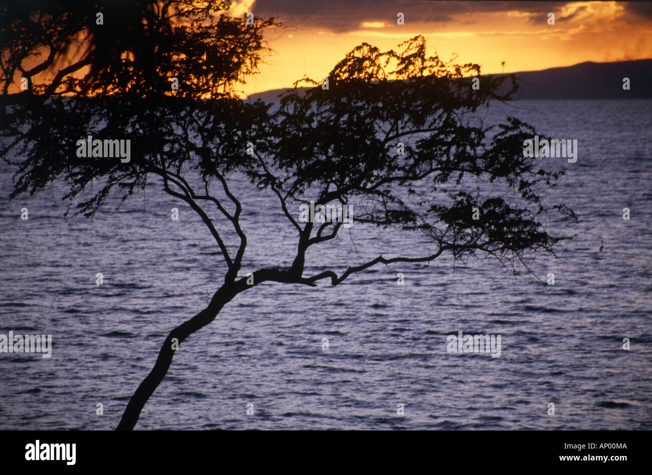 Küste am Abend Insel Oahu Bundesstaat Hawaii usa Stockfoto