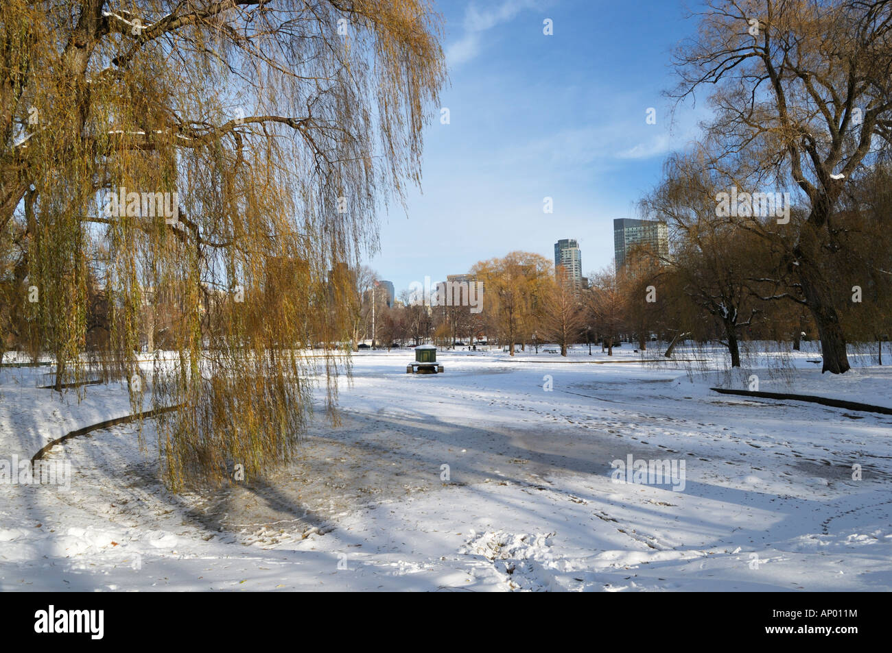 Der Boston Common Park im Winter, Boston MA Stockfoto