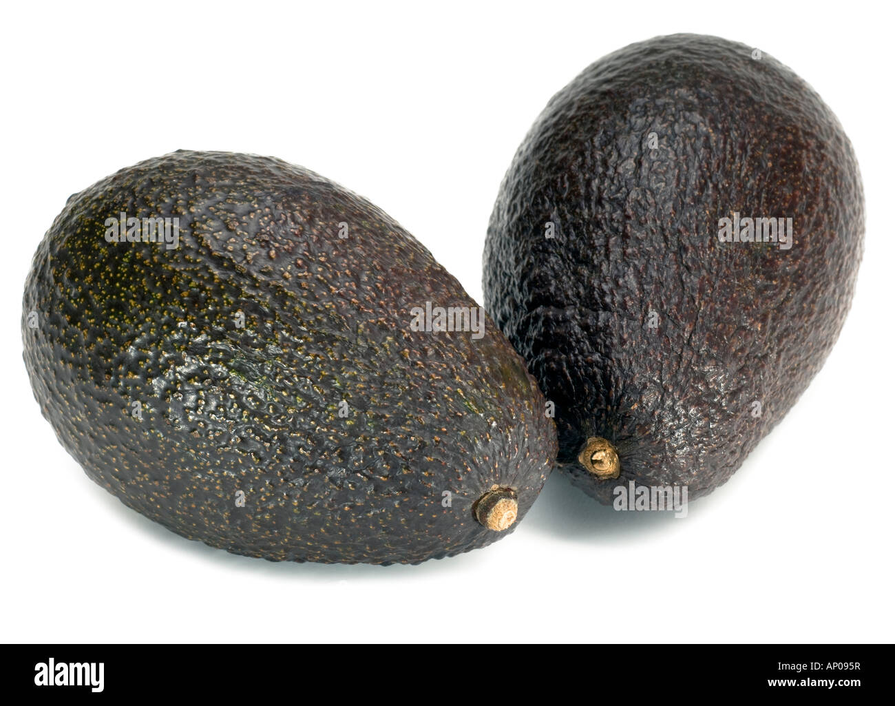 Zwei ganze Avocados Stockfoto