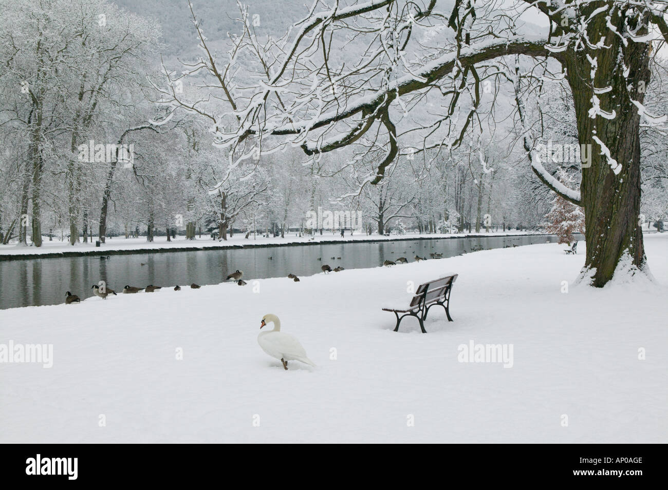 Frankreich, Französische Alpen (Isere), VIZILLE: Chateau de Vizille Park nach Winter Sturm Swan Lake Stockfoto