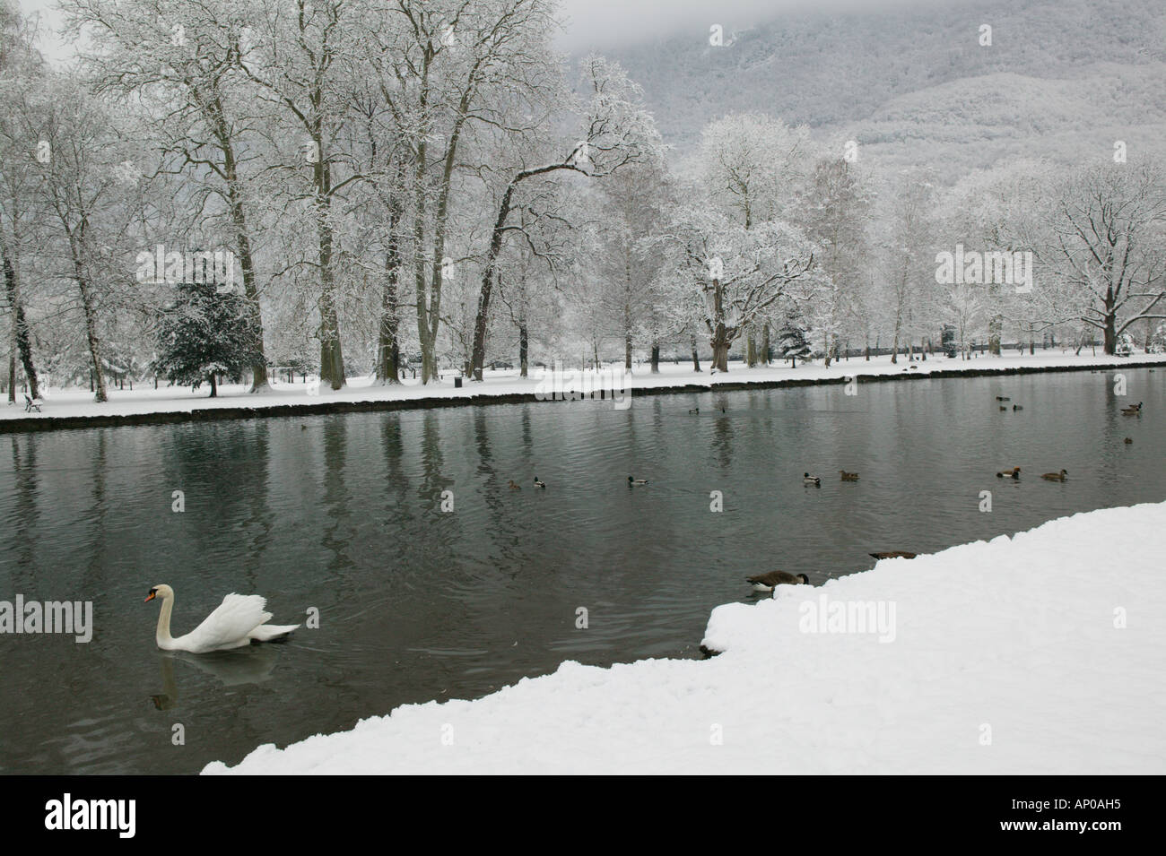 Frankreich, Französische Alpen (Isere), VIZILLE: Chateau de Vizille Park nach Winter StormSwan See Stockfoto
