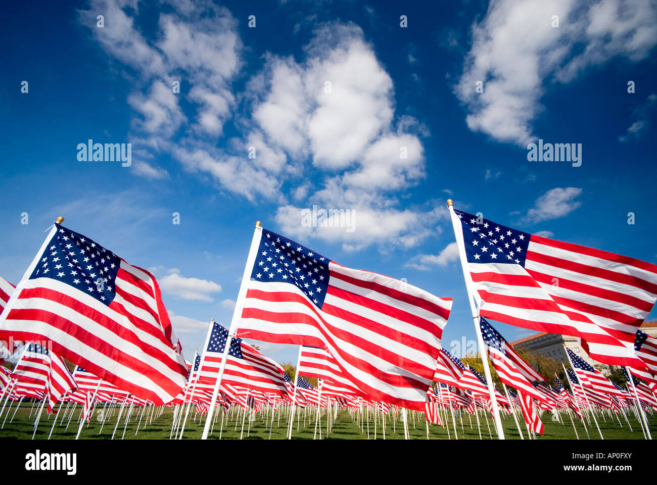 Reihen von amerikanischen Flaggen auf der National Mall Washington DC Stockfoto