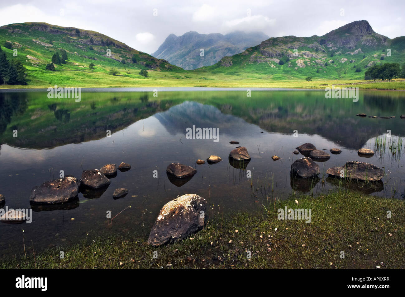 Langdale Pikes und Seite Hecht spiegelt sich in den stillen Wassern des Blea Tarn. Great Langdale, Lake District National Park, UK Stockfoto