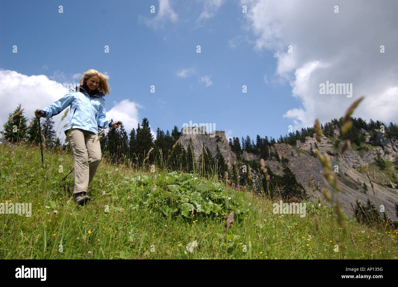 Wanderer, Hocheck, Alpen, Deutschland Stockfoto