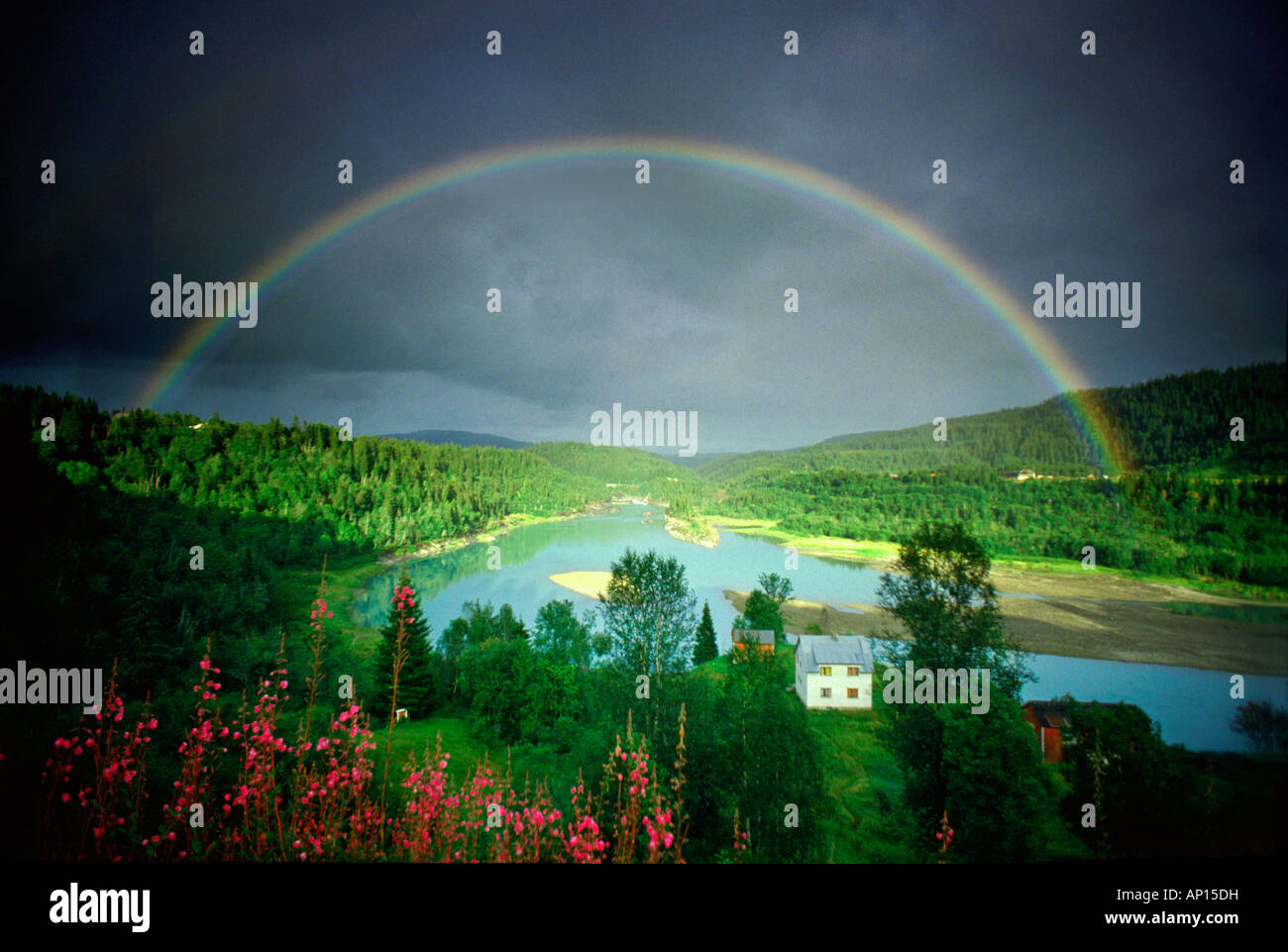 Regenbogen über Rana River in der Nähe von Mo I Rana, Mo I Rana, Norwegen, Skandinavien Stockfoto