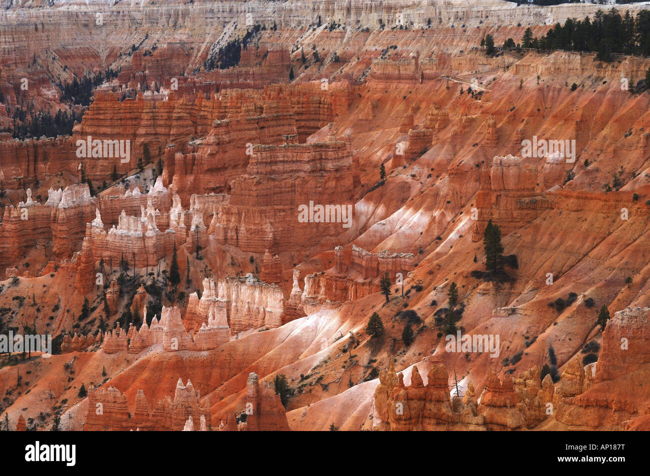 Bryce Canyon, Utah, USA Stockfoto