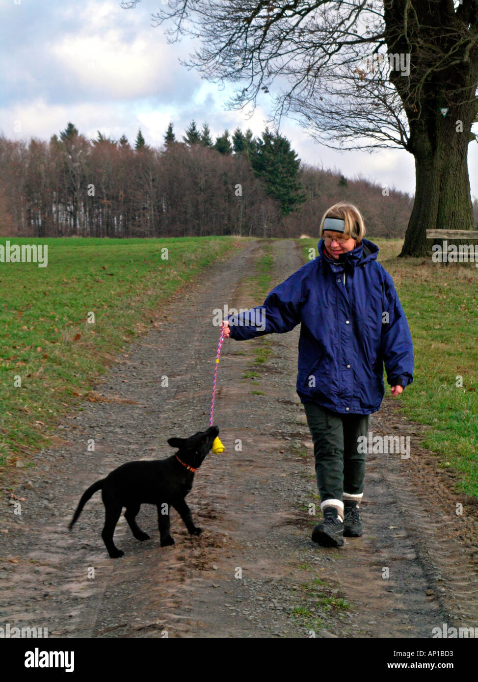 Frau und ihrem jungen Hund haben einen Spaziergang im Herbst Herr Modell freigegeben Stockfoto