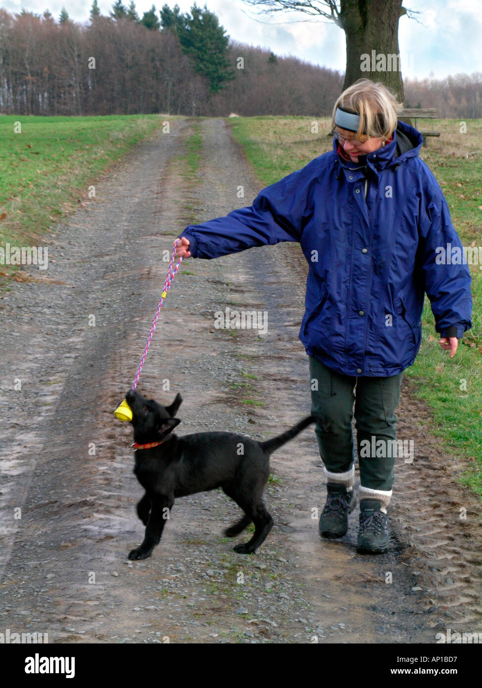 Frau und ihrem jungen Hund haben einen Spaziergang im Herbst Herr Modell freigegeben Stockfoto
