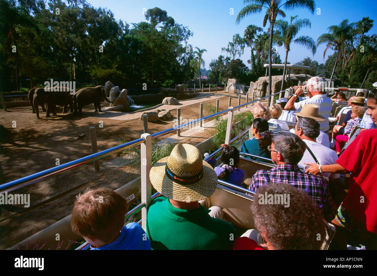 Bus Tour, Zoo, San Diego, Kalifornien, USA Stockfoto