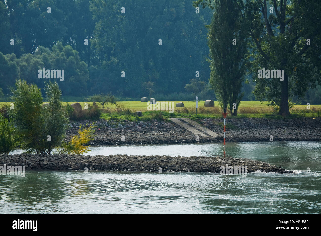 AM FRÜHEN MORGEN ENTLANG DEM FLUSS RHEIN DEUTSCHLAND MIT FELDERN, WALD UND UFER Stockfoto