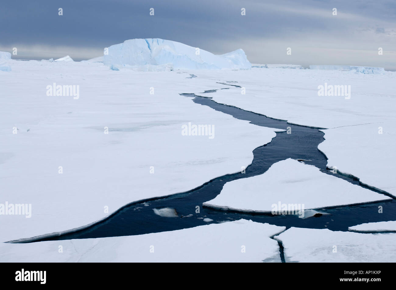 Packeis, die ab November im Weddell-Meer in der Nähe von Snow Hill Island Antarktis aufzubrechen Stockfoto