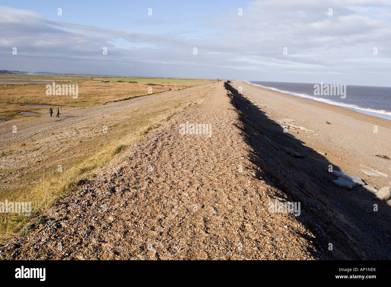 Schindel Bank Meer Defence bei Cley North Norfolk Stockfoto
