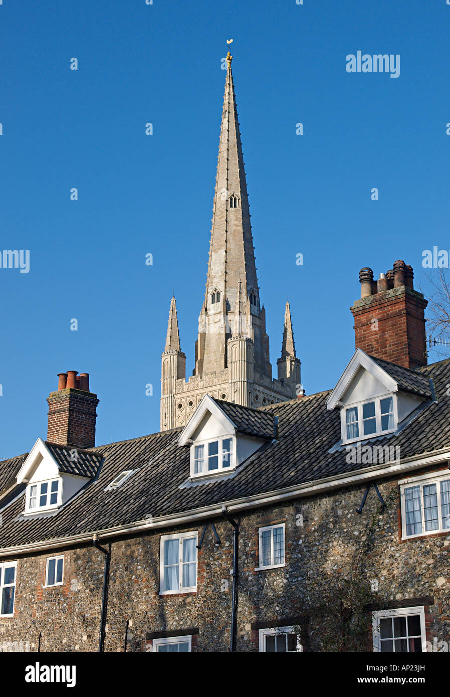NORWICH CATHEDRAL und die TURMSPITZE AUS SICHT DIE ENGE, NORFOLK ENGLAND ENGLAND Stockfoto