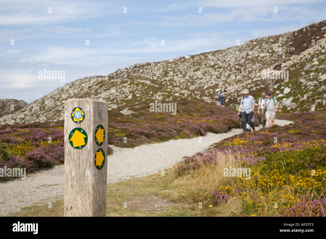 Insel ANGLESEY COASTAL PATH und Wegweiser mit gelben Pfeilen mit Wanderer im Sommer auf Holyhead Mountain Anglesey Wales UK Stockfoto