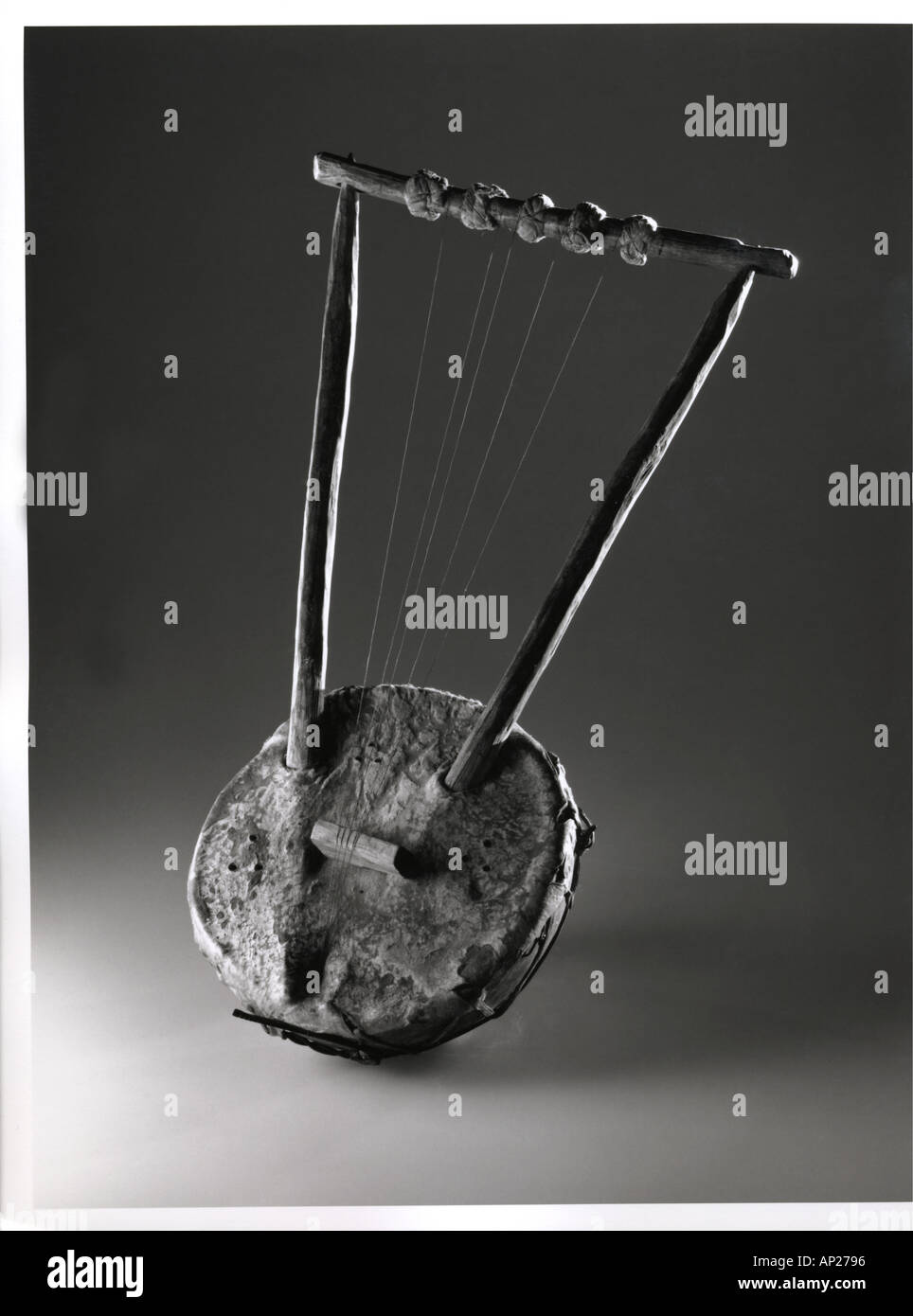 Nagfa Lyra Stockfoto