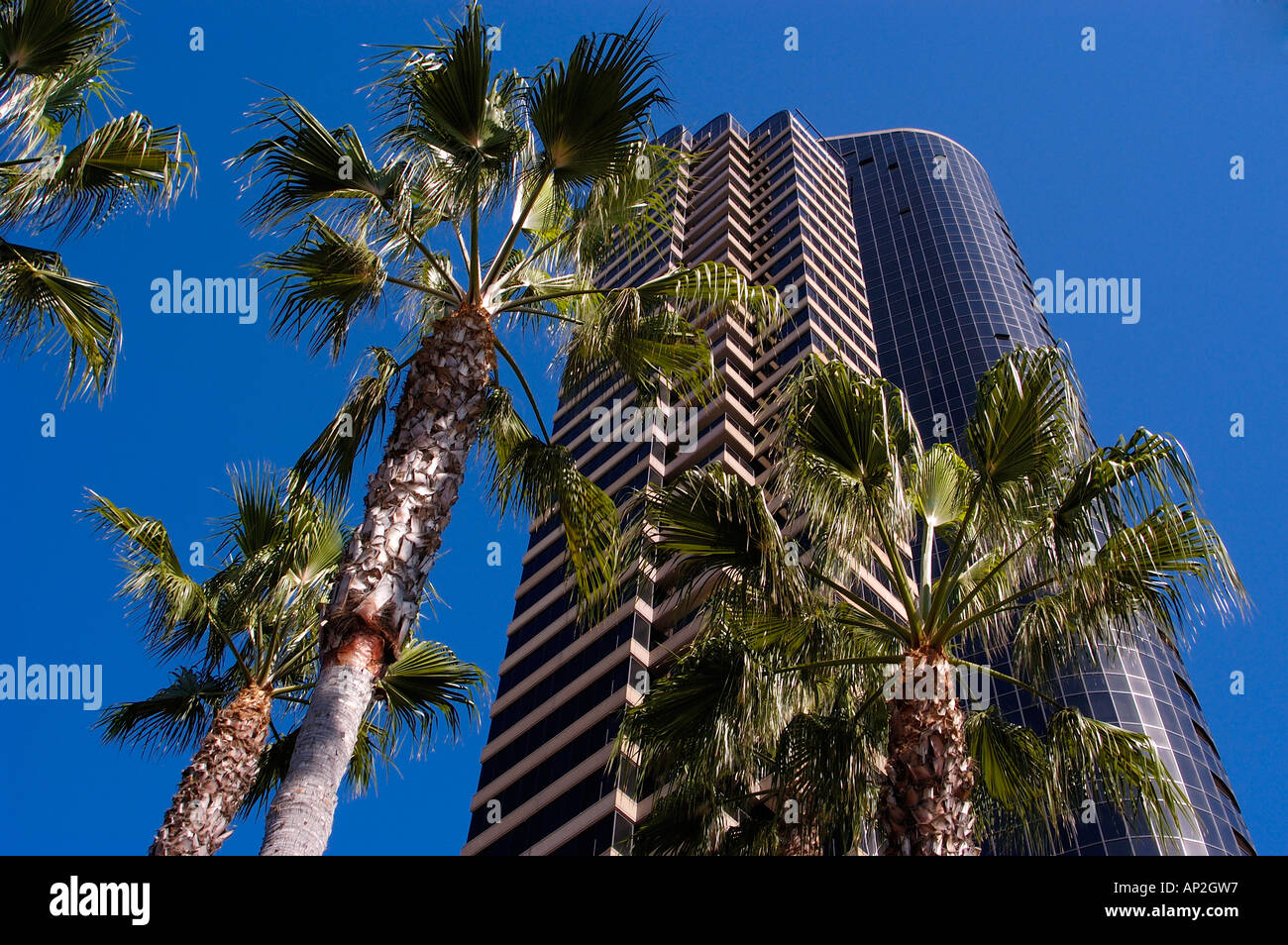Hafen Club Eigentumswohnungen Downtown San Diego California Stockfoto