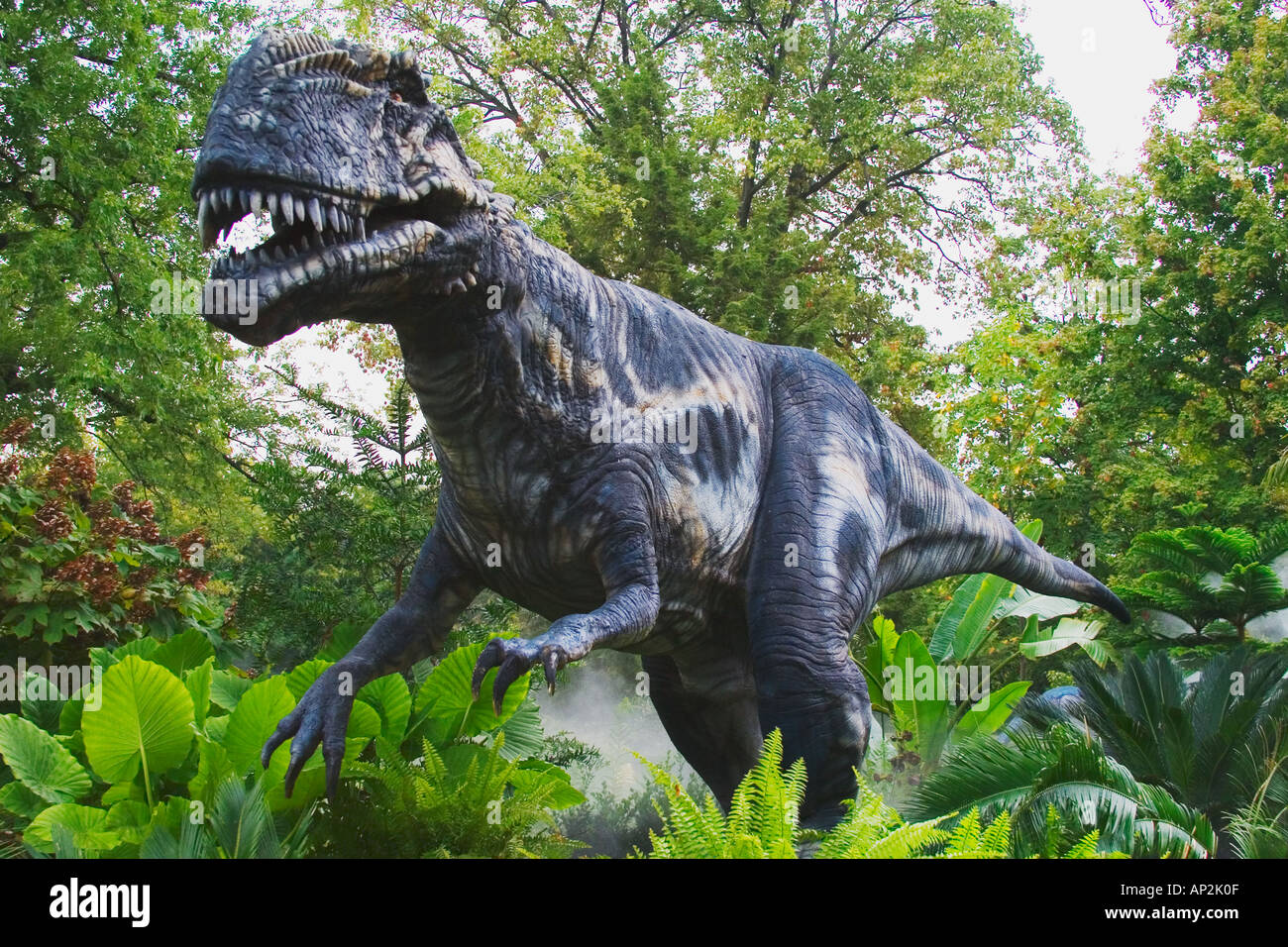 Die ersten Dinosaurier Megalosaurus Name 1824 sein ist dieser Dinosaurier aus dem mittleren Jura Periode Growes auf eine Länge von 30 Gebühr Stockfoto