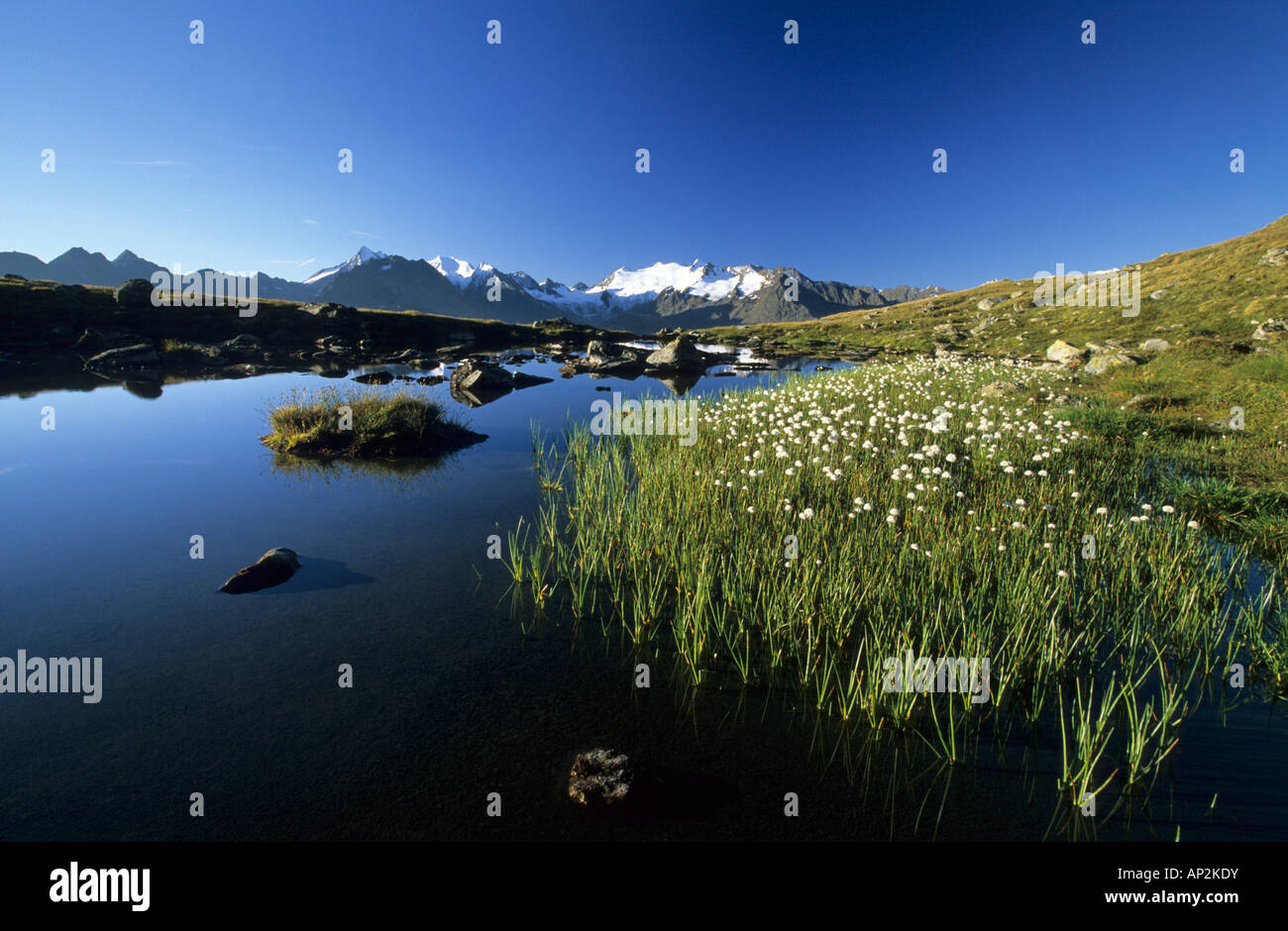 See Soomsee mit Wollgras und Schnee bedeckten Bereich der Oetztaler Alpen, Oetztaler Alpen, Tirol, Österreich Stockfoto