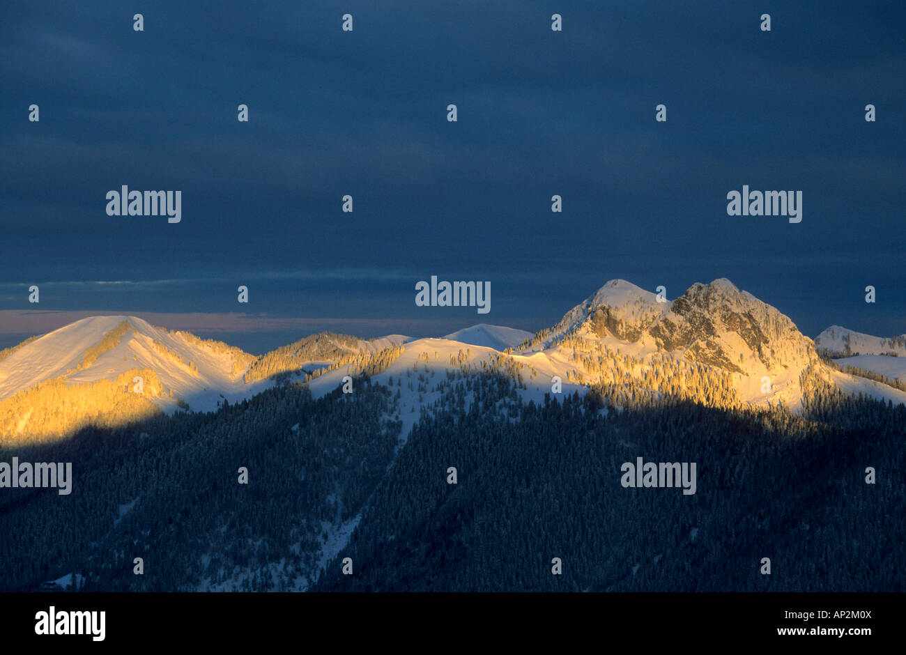 Ross und Buchsteins Schnee im frühen Morgenlicht, Schildenstein, Bayerische Alpen, Tegernsee, Bayern, Oberbayern, Deutsch Stockfoto