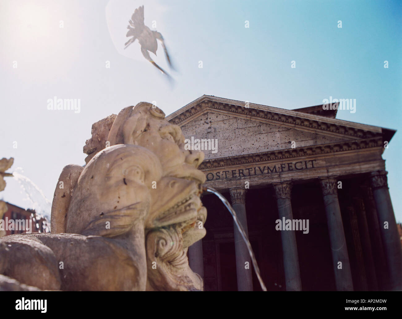 Eine Taube fliegen über einem Brunnen auf der Piazza della Rotonda, Pantheon Rom, Italien Stockfoto